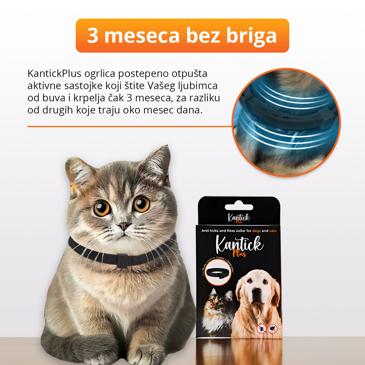 Ogrlica za pse i mačke protiv buva i krpelja