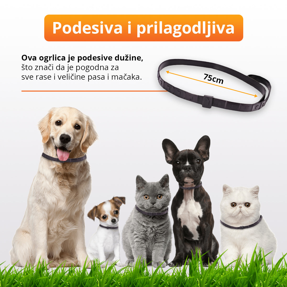 Ogrlica za pse i mačke protiv buva i krpelja