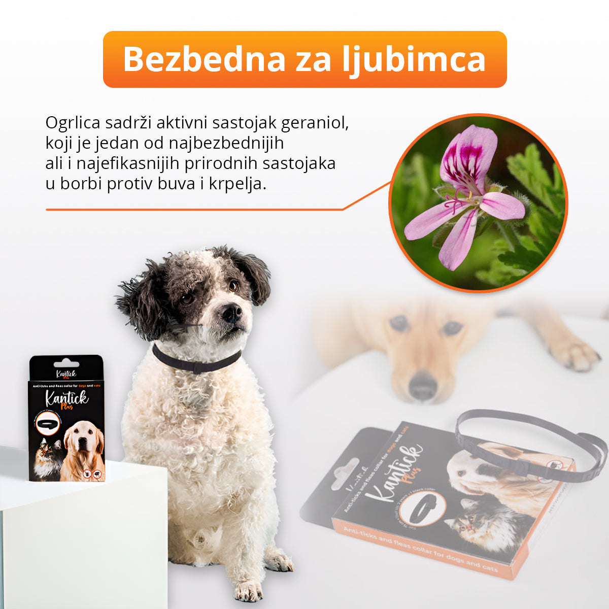 Ogrlica za pse i mačke protiv buva i krpelja