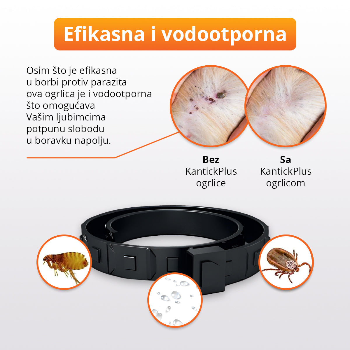 Ogrlica za pse i mačke protiv buva i krpelja